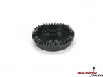 Rear Ring Gear. 43T: 8T