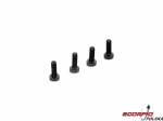 Backplate Screws (4): R21