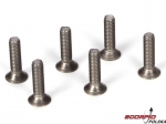 Titanium Flat Head Screw. M3 x 12mm (6)