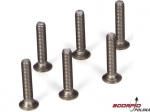 Titanium Flat Head Screw. M3 x 16mm (6)