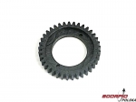 Gear, 2nd (standard)(37-tooth)